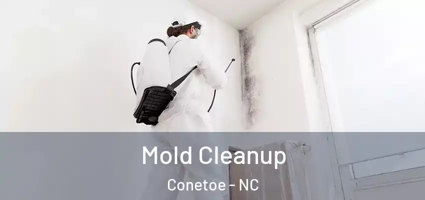  Mold Cleanup Conetoe - NC