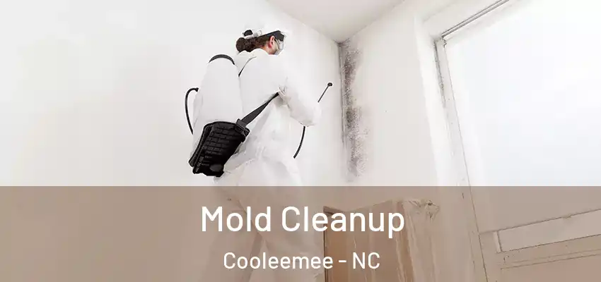 Mold Cleanup Cooleemee - NC