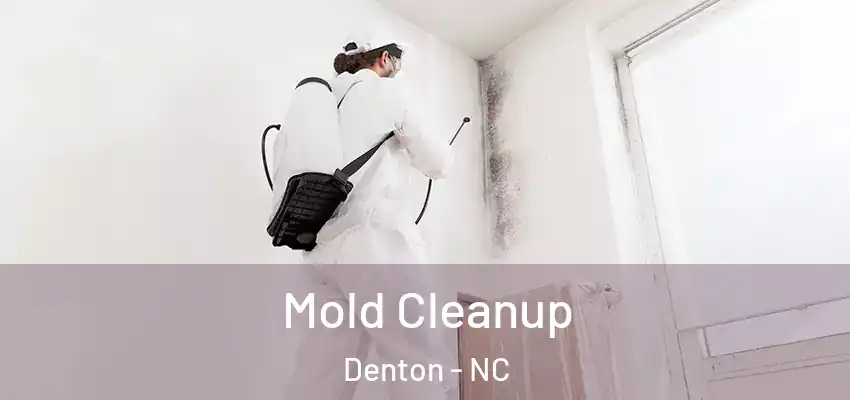 Mold Cleanup Denton - NC