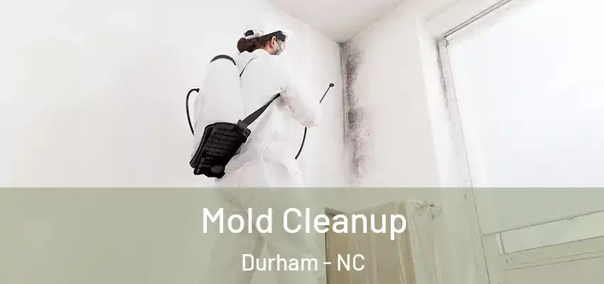 Mold Cleanup Durham - NC