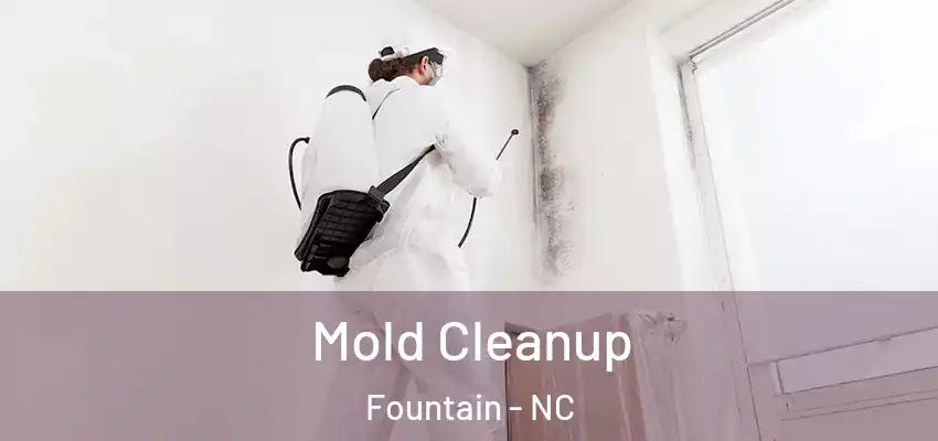  Mold Cleanup Fountain - NC
