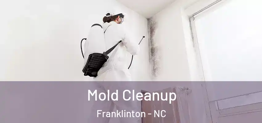  Mold Cleanup Franklinton - NC