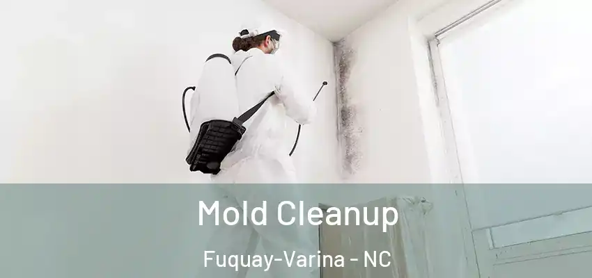 Mold Cleanup Fuquay-Varina - NC
