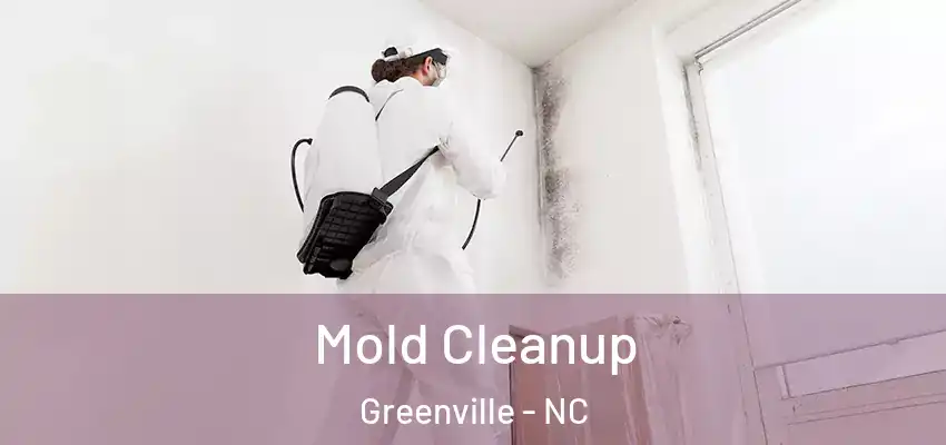  Mold Cleanup Greenville - NC
