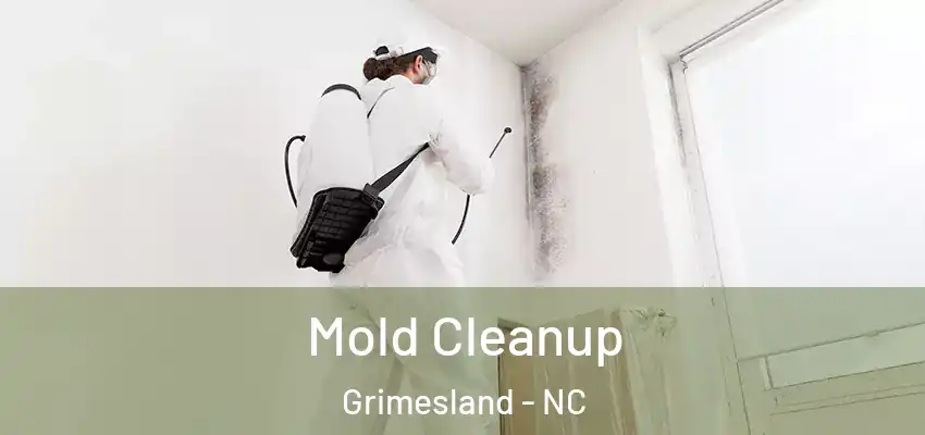  Mold Cleanup Grimesland - NC