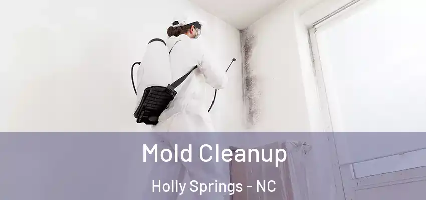  Mold Cleanup Holly Springs - NC