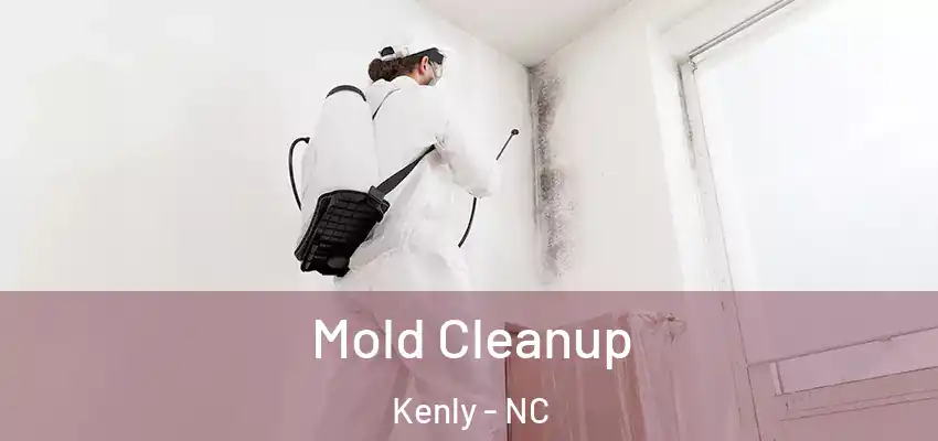  Mold Cleanup Kenly - NC