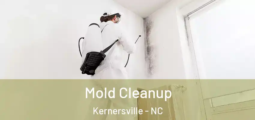  Mold Cleanup Kernersville - NC