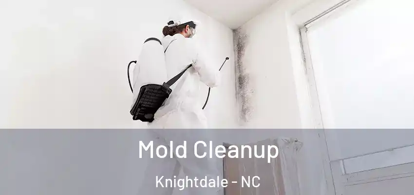  Mold Cleanup Knightdale - NC
