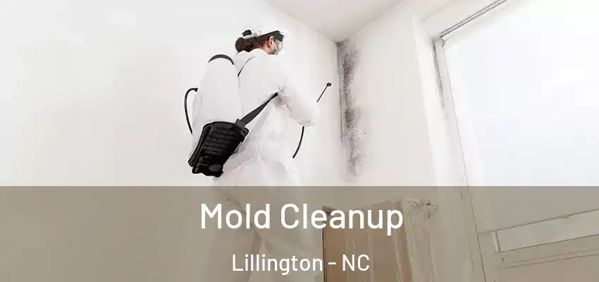 Mold Cleanup Lillington - NC