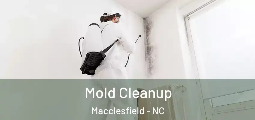  Mold Cleanup Macclesfield - NC