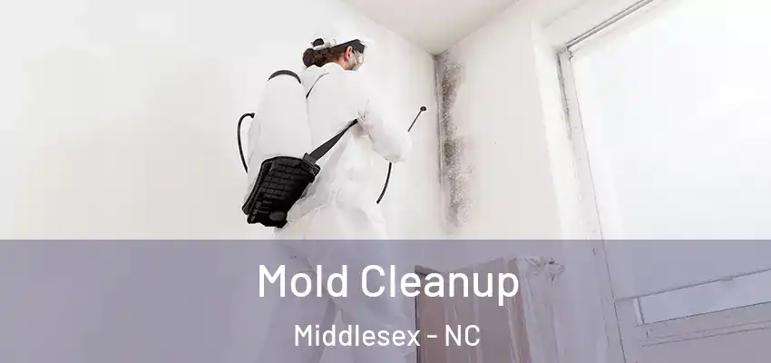  Mold Cleanup Middlesex - NC