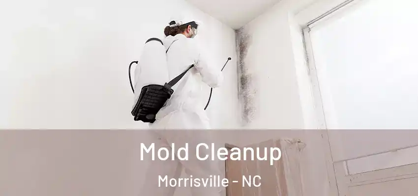  Mold Cleanup Morrisville - NC