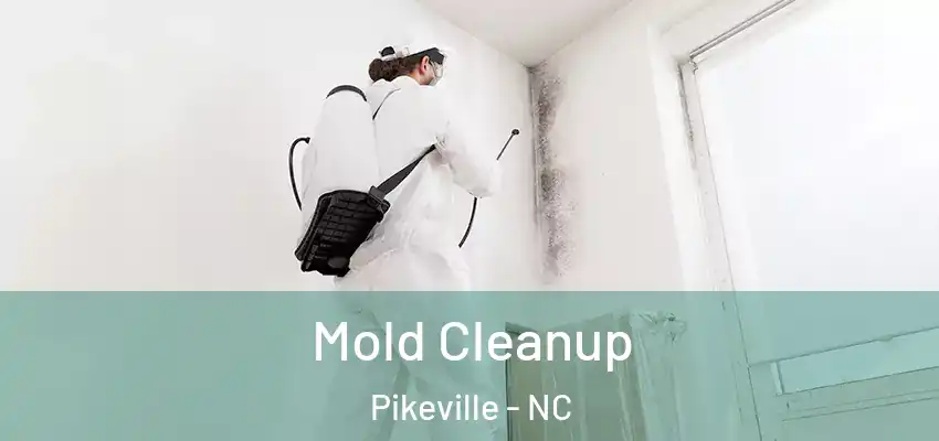  Mold Cleanup Pikeville - NC
