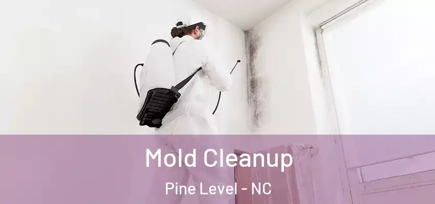  Mold Cleanup Pine Level - NC