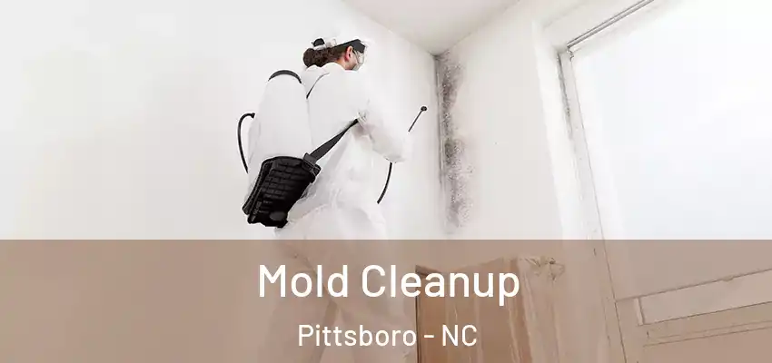 Mold Cleanup Pittsboro - NC