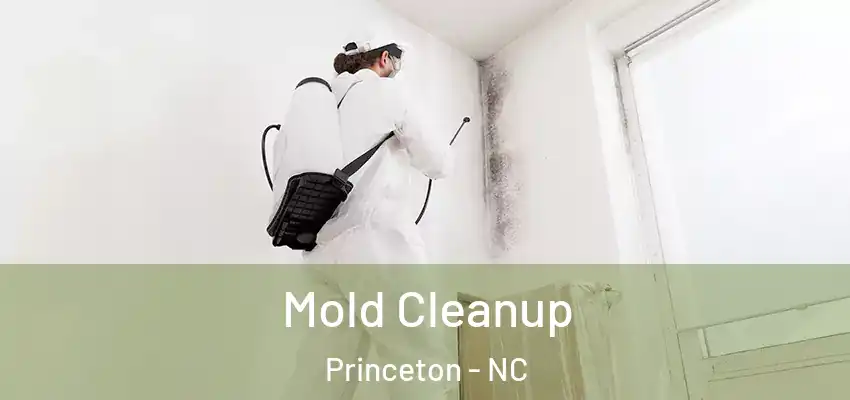 Mold Cleanup Princeton - NC