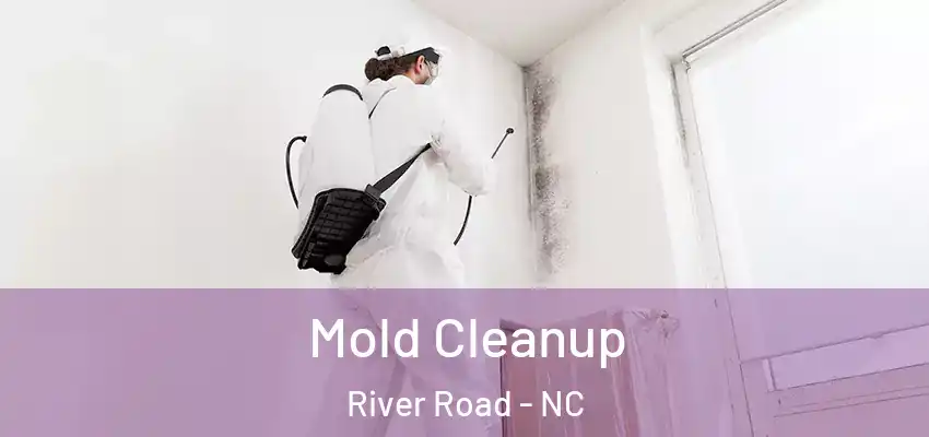  Mold Cleanup River Road - NC
