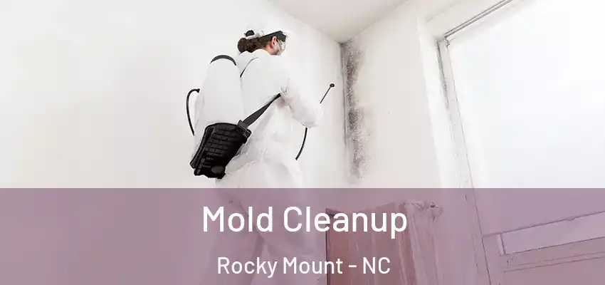 Mold Cleanup Rocky Mount - NC