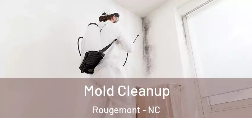  Mold Cleanup Rougemont - NC