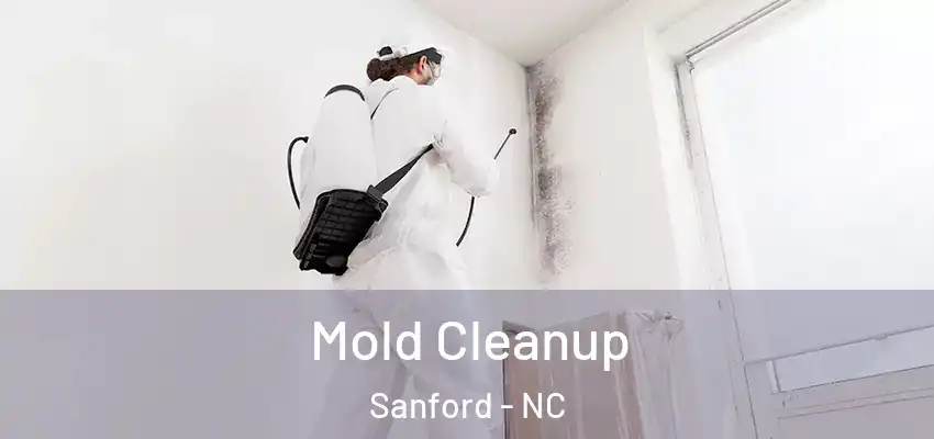 Mold Cleanup Sanford - NC
