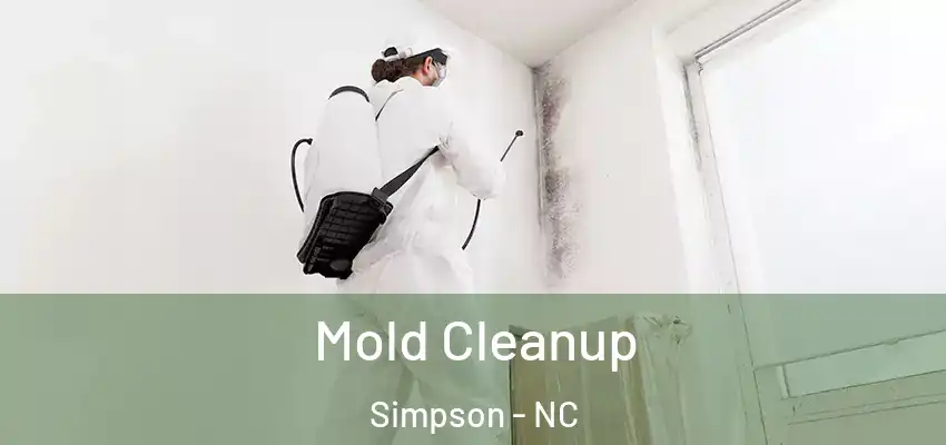  Mold Cleanup Simpson - NC