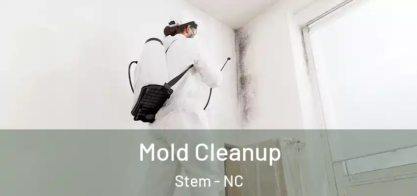  Mold Cleanup Stem - NC