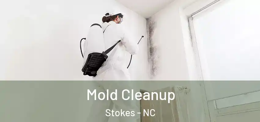  Mold Cleanup Stokes - NC
