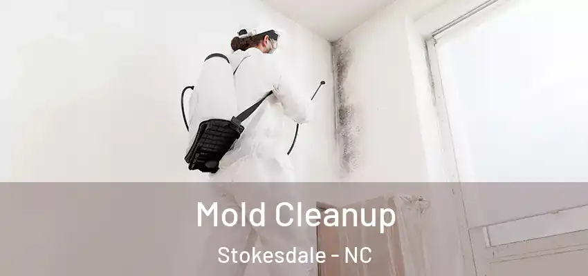  Mold Cleanup Stokesdale - NC