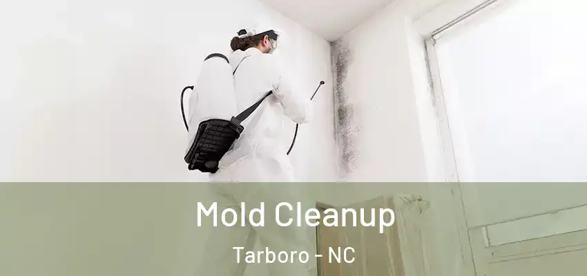 Mold Cleanup Tarboro - NC