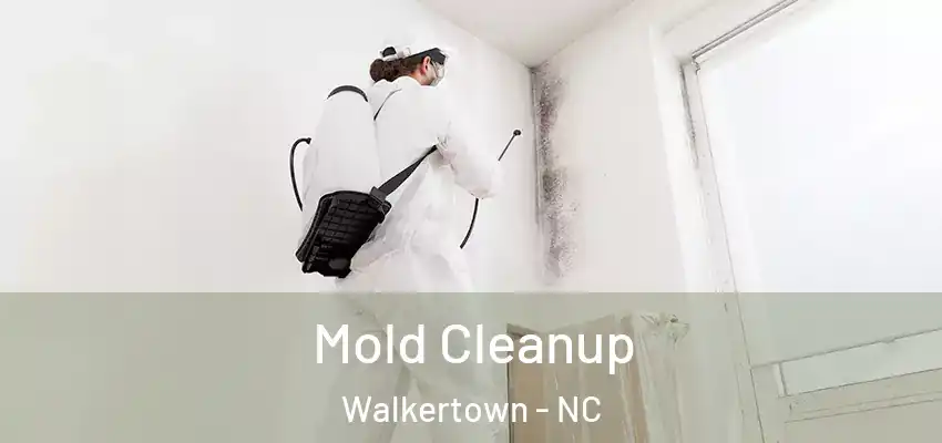  Mold Cleanup Walkertown - NC