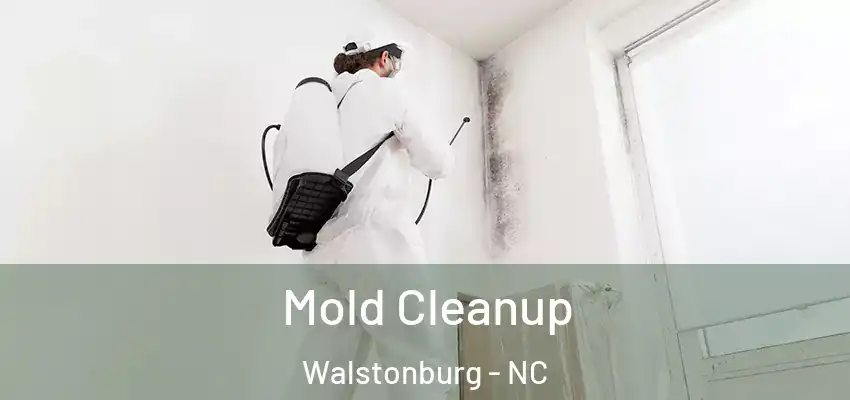 Mold Cleanup Walstonburg - NC