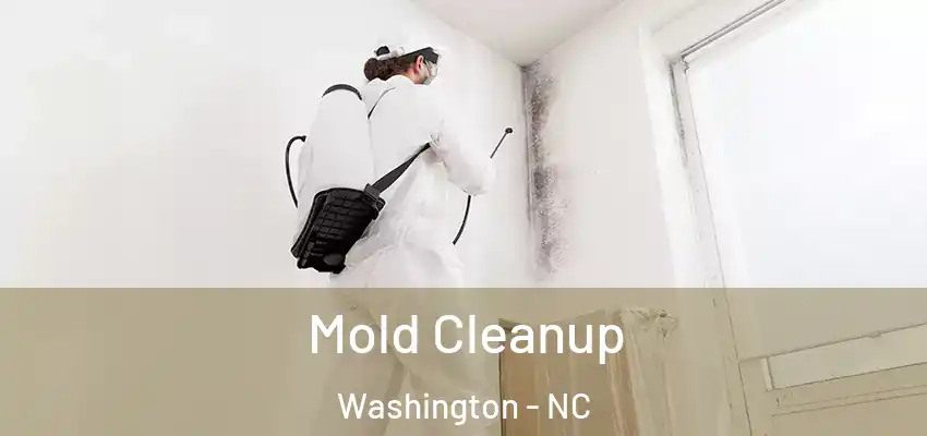 Mold Cleanup Washington - NC