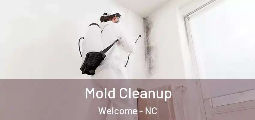  Mold Cleanup Welcome - NC