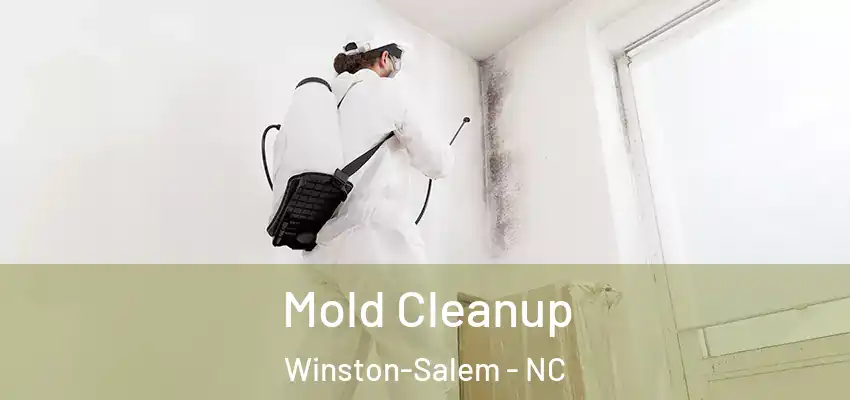  Mold Cleanup Winston-Salem - NC