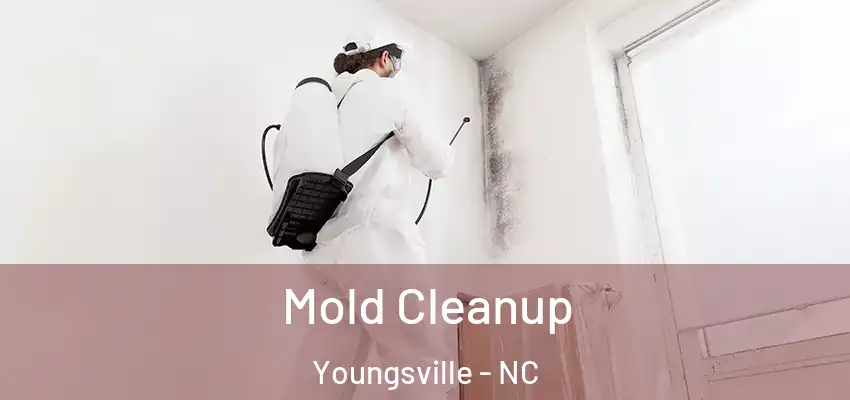 Mold Cleanup Youngsville - NC