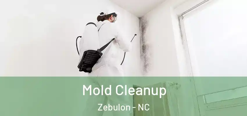 Mold Cleanup Zebulon - NC