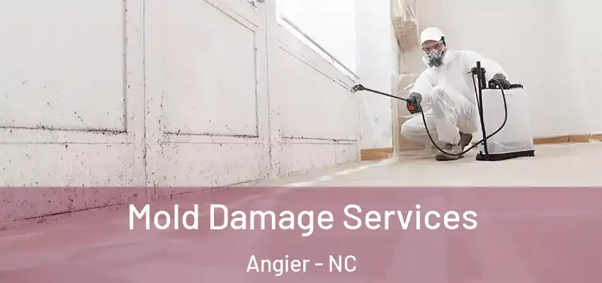  Mold Damage Services Angier - NC
