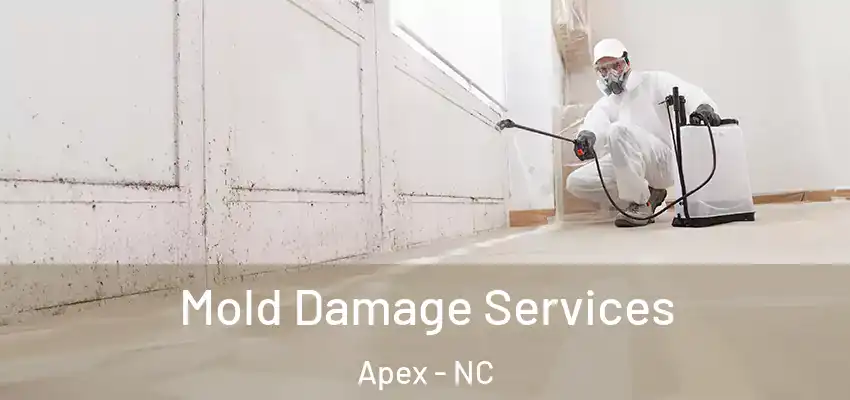  Mold Damage Services Apex - NC