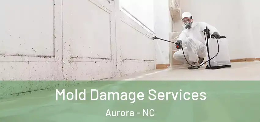  Mold Damage Services Aurora - NC