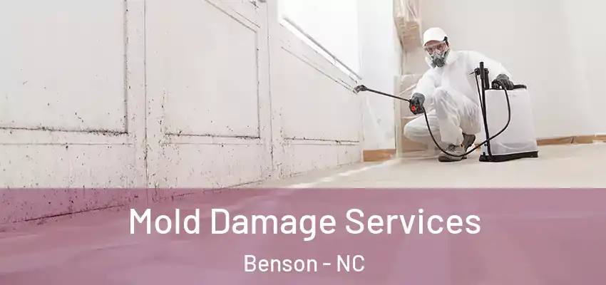  Mold Damage Services Benson - NC