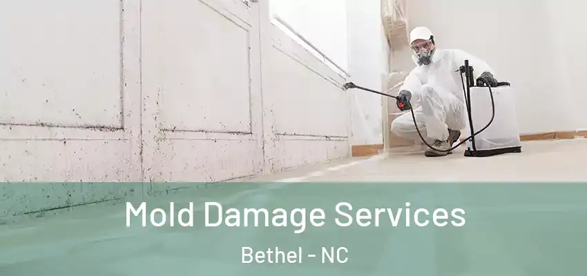  Mold Damage Services Bethel - NC