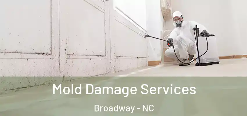  Mold Damage Services Broadway - NC