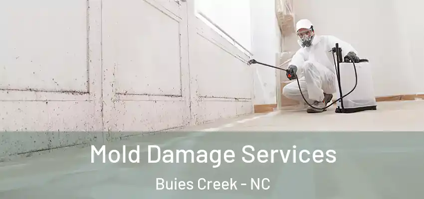  Mold Damage Services Buies Creek - NC