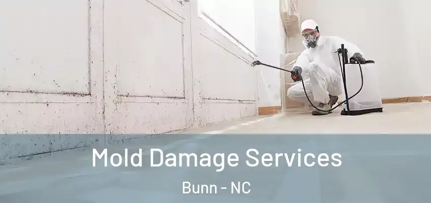Mold Damage Services Bunn - NC