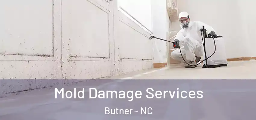 Mold Damage Services Butner - NC