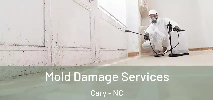 Mold Damage Services Cary - NC