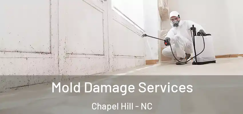 Mold Damage Services Chapel Hill - NC