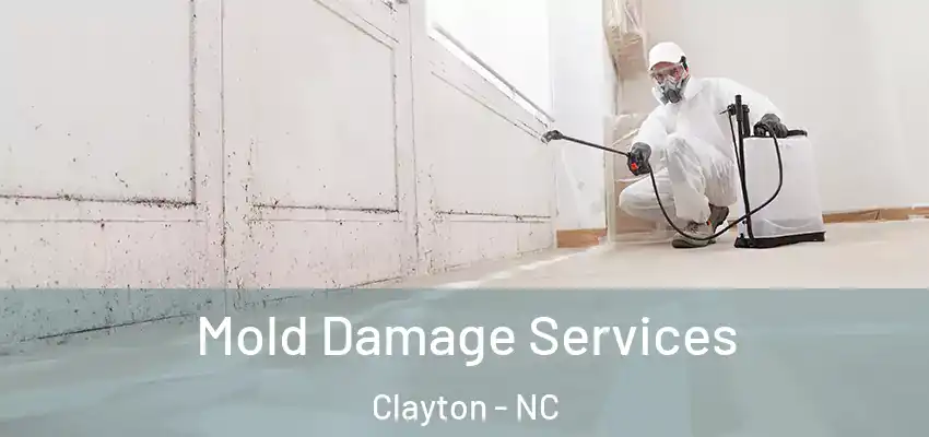 Mold Damage Services Clayton - NC