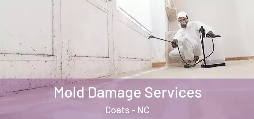  Mold Damage Services Coats - NC